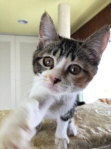 IMG_0706.jpeg